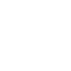 Gouda