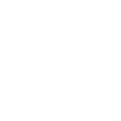 WZH
