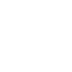 Zinzia