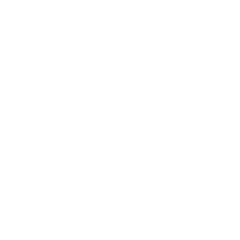 ludens