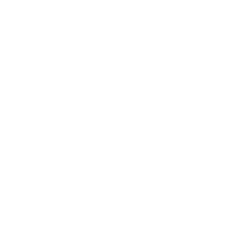 Fokus