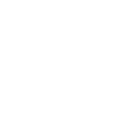 Gouda