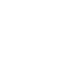 WZH
