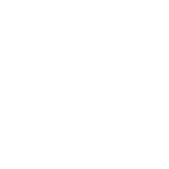 Zinzia