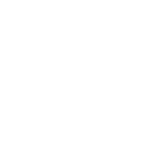 dijkenwaard