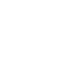Ludens